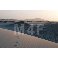  Souvenir refrigerator magnet