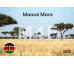 Available magnet options (no/predefined/custom text, year of visit, state flag) All available image options to choose