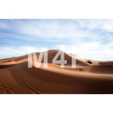  Souvenir refrigerator magnet