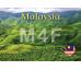 Available magnet options (no/predefined/custom text, year of visit, state flag) All available image options to choose