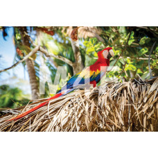  Souvenir refrigerator magnet