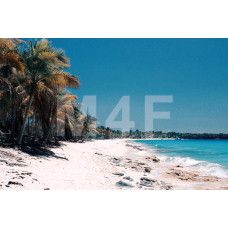  Souvenir refrigerator magnet